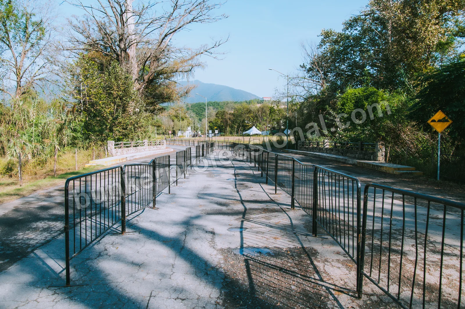 Technical build for Bendito Rodeo — 4