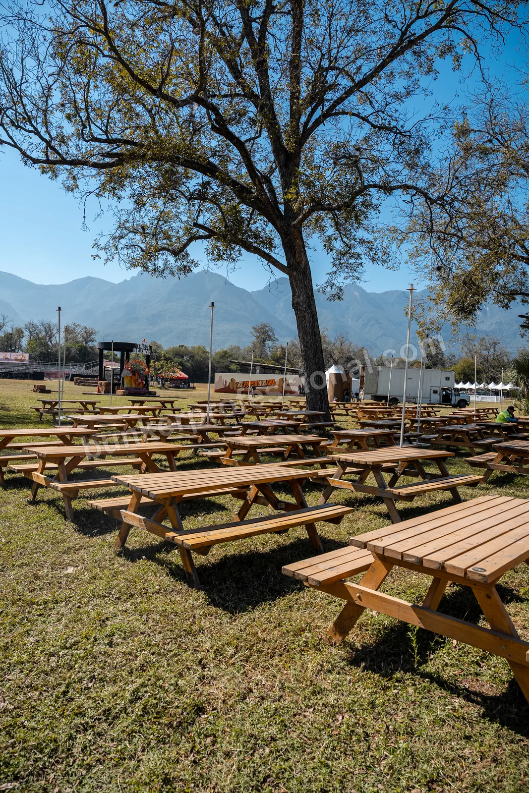Technical build for Bendito Rodeo — 59