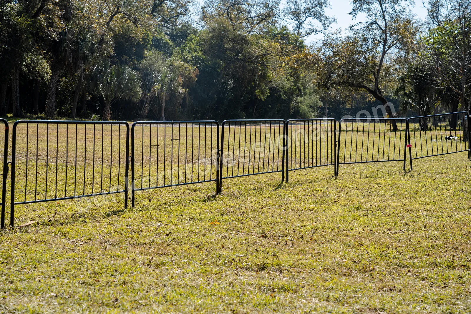 Technical build for Bendito Rodeo — 60