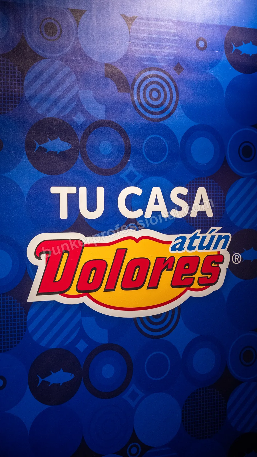 Siguiente proyecto: Casa Dolores