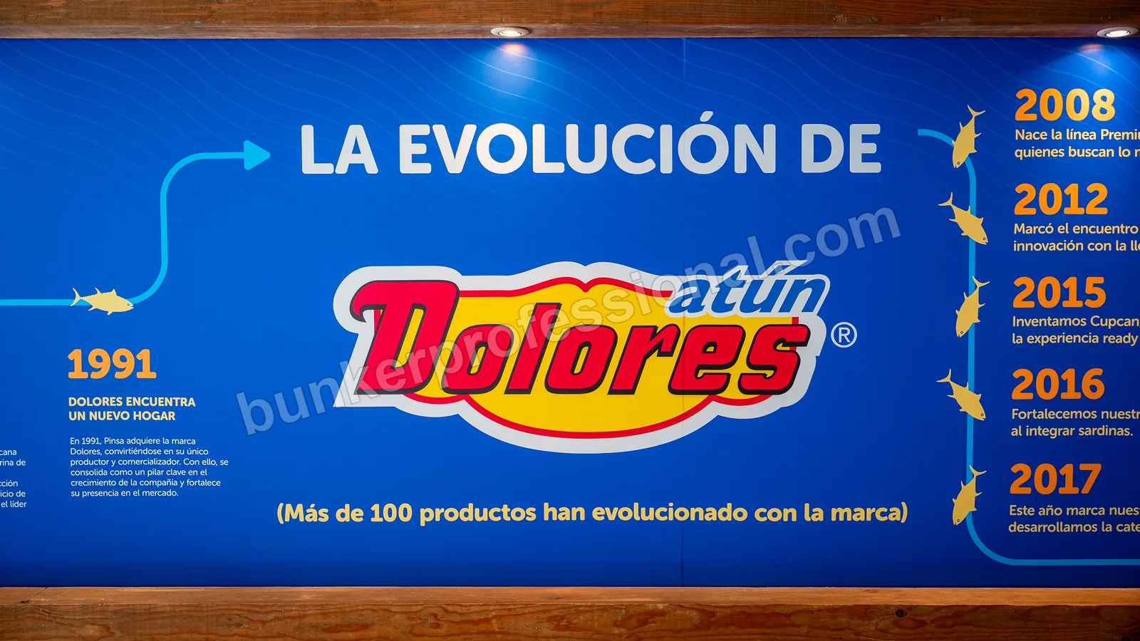 Technical build for Casa Dolores — 4