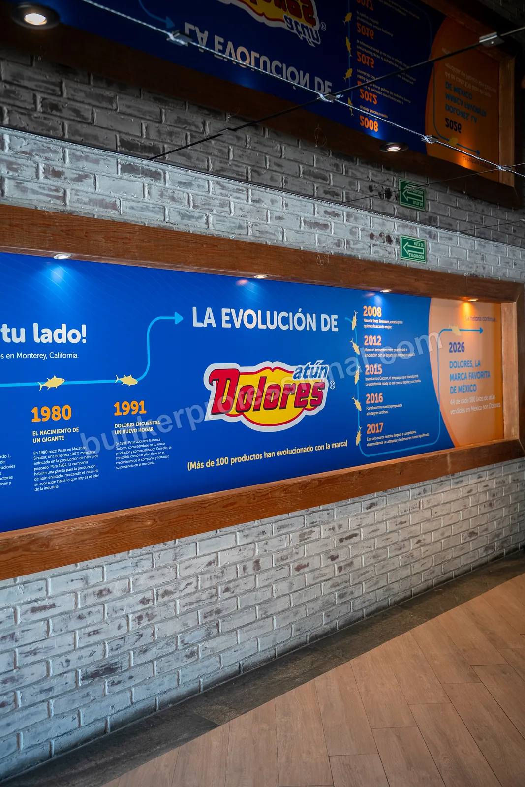 Technical build for Casa Dolores — 5