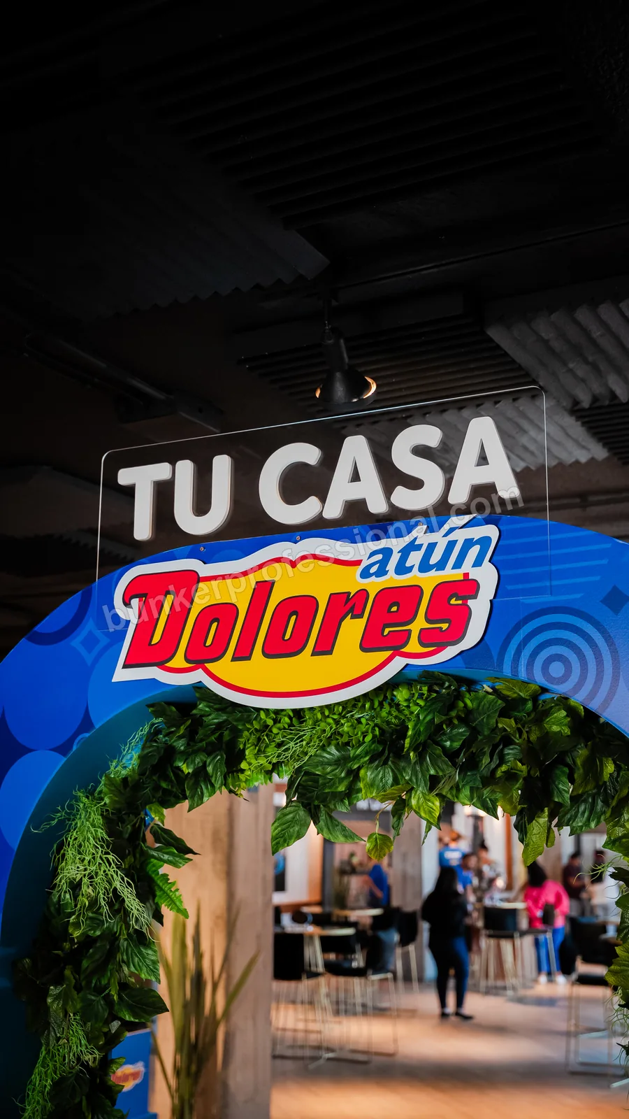 Technical build for Casa Dolores — 10
