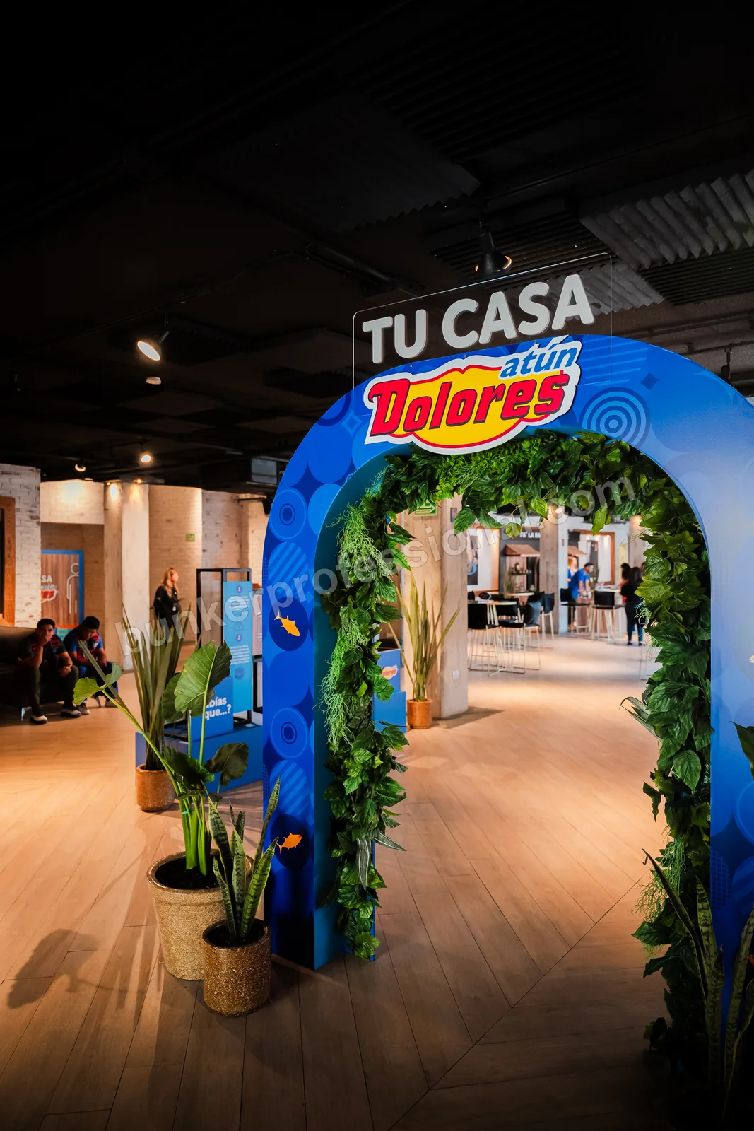 Technical build for Casa Dolores — 11