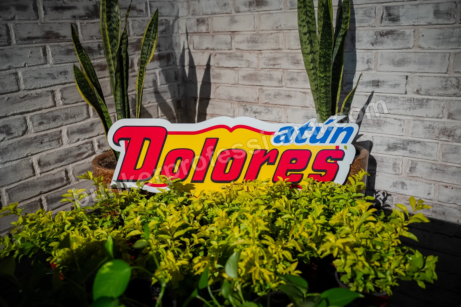 Technical build for Casa Dolores — 21