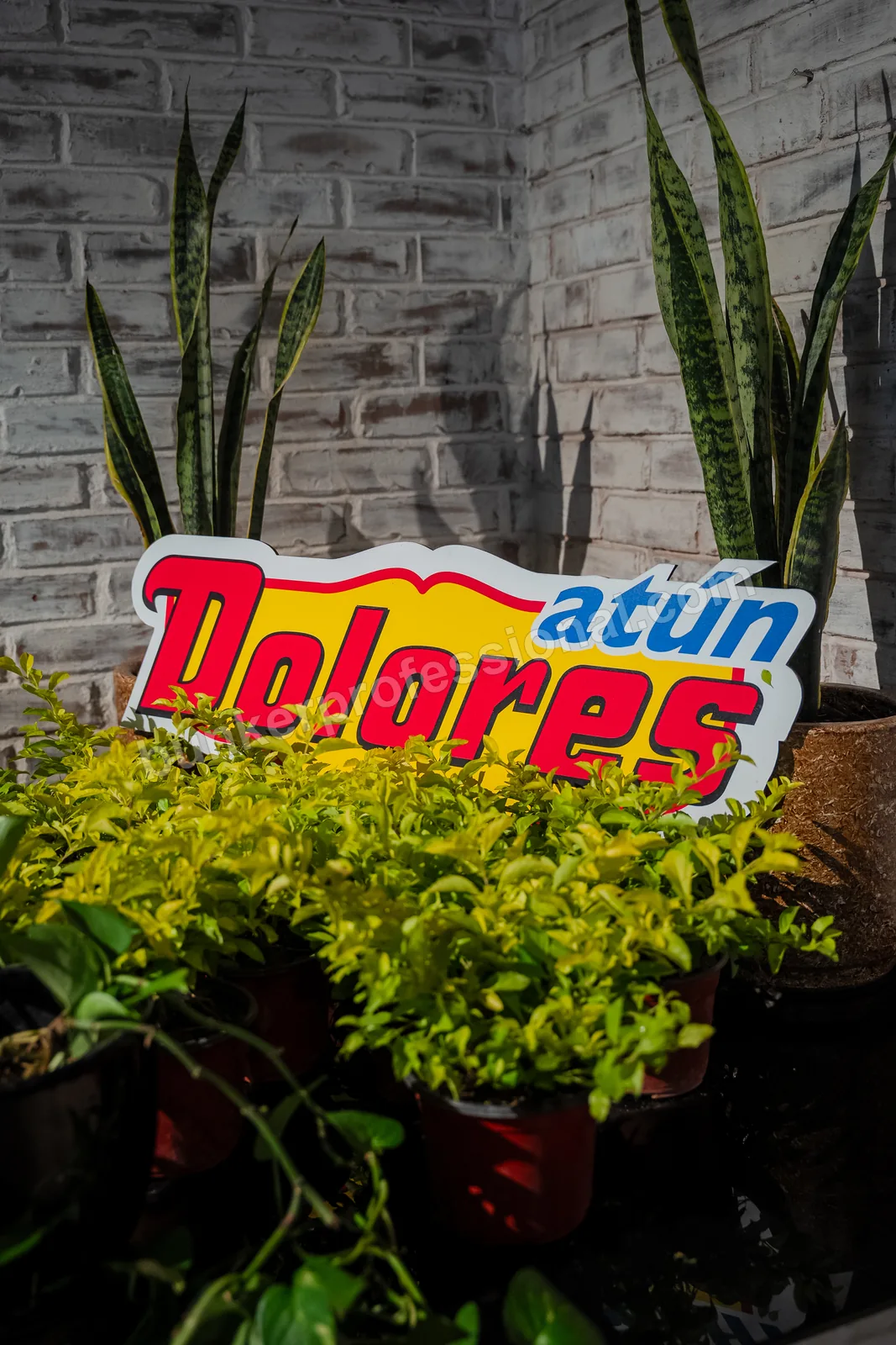 Technical build for Casa Dolores — 22