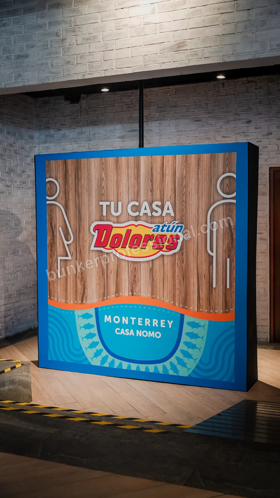 Technical build for Casa Dolores — 23