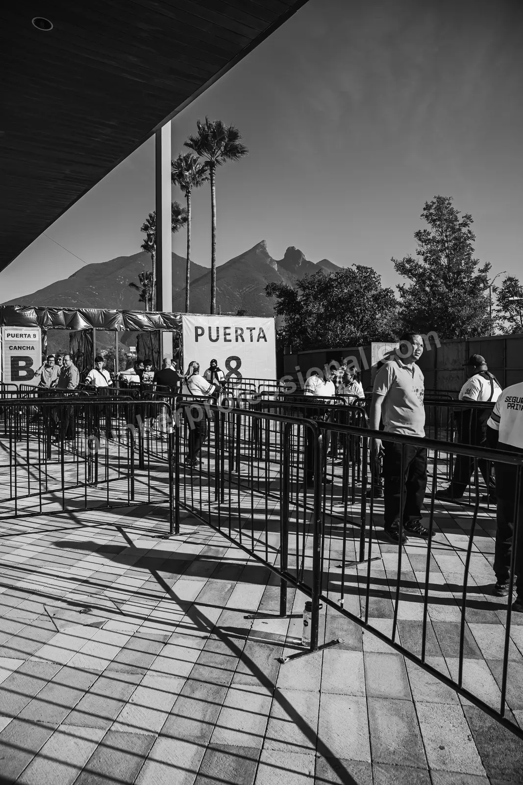 Technical build for Corona Sessions — 73