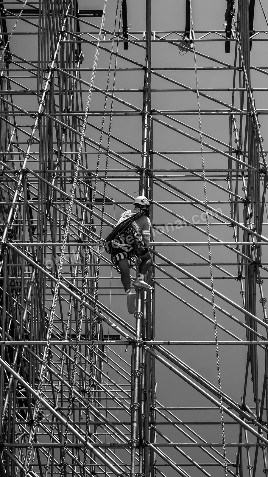 Montaje técnico para PAL NORTE — 194